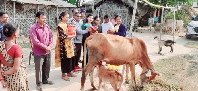 झापा गौरीगञ्जकी रबिनालाई तिम्ल्याहा शिशु हुर्काउन कठिनाइ, पालिकाले दियो लहिनो गाई