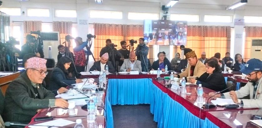 लेखा समितिले टेरामक्स खरिदको अनुसन्धान गर्न अख्तियारलाई जिम्मा दियो