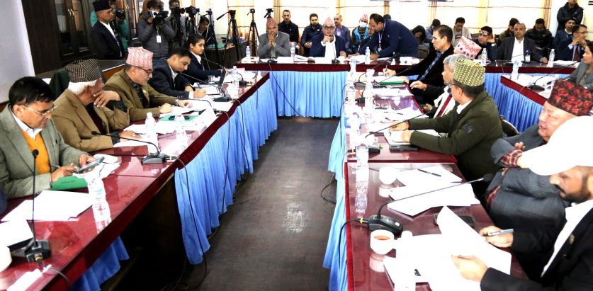 टेरामक्स योजना यथास्थितिमा राख्न लेखा समितिको निर्देशन