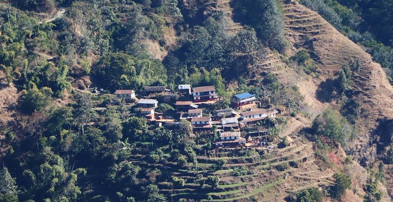 बालबालिका र बूढापाकाले धानेको गाउँ