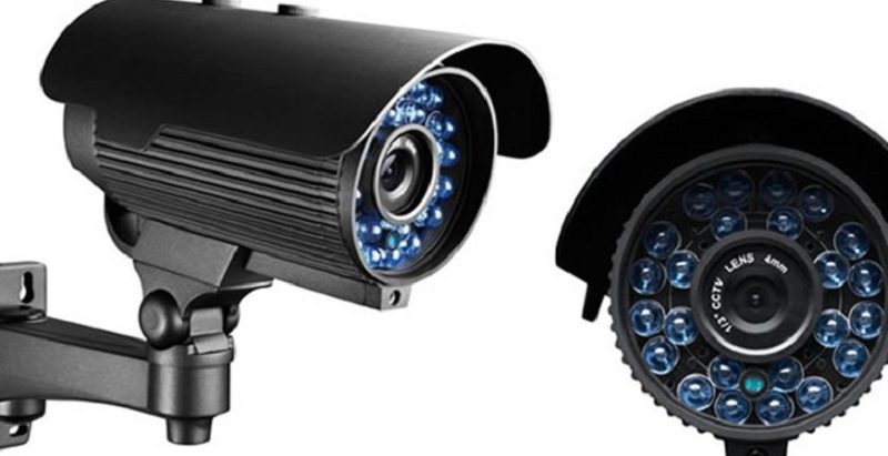 बाघको अवस्था थाहा पाउन क्यामेरा ‘ट्यापिङ’