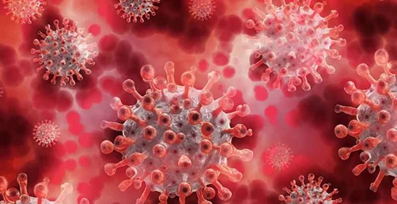 कोरोना भाइरसको नयाँ रुप जेएन वान पुष्टि ; नाकामा उच्च निगरानी