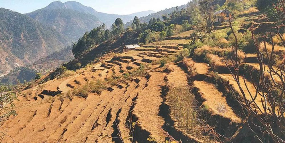 इलाममा जग्गा माग गर्दै १६ हजार निवेदन