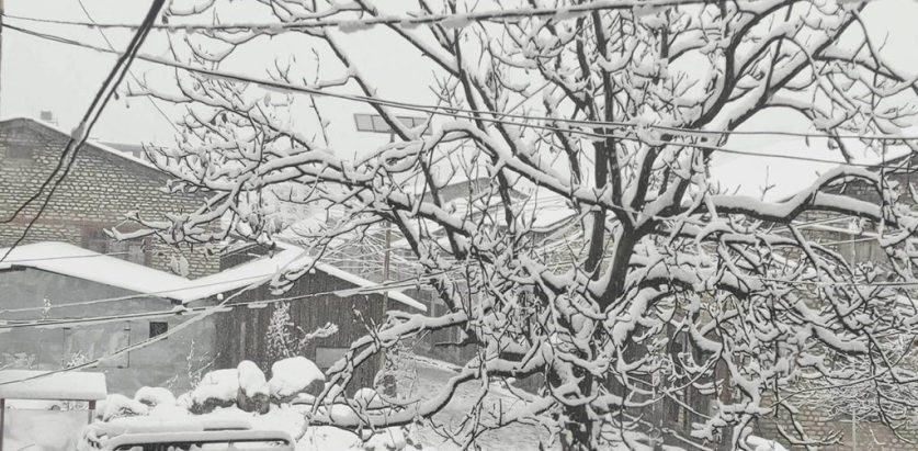 मुगु र रारा क्षेत्रमा हिमपातले सेताम्मे