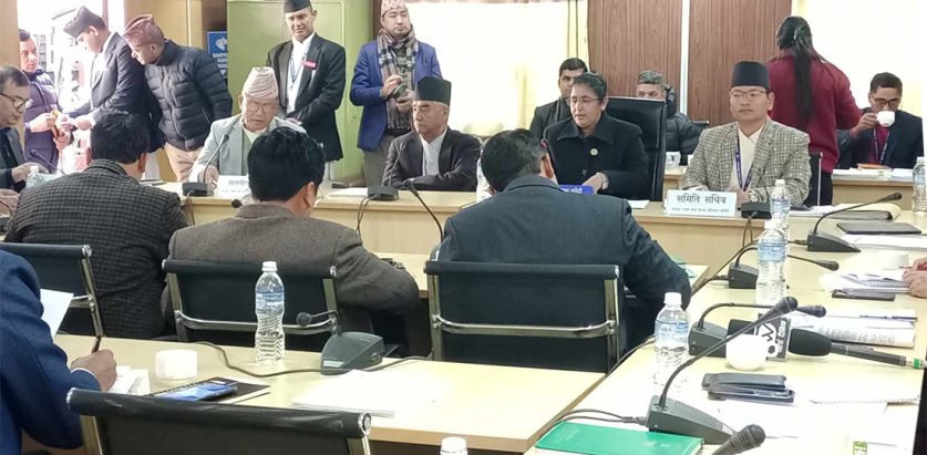 आज सभामुखले कानुनमन्त्रीसंग छलफल गर्ने