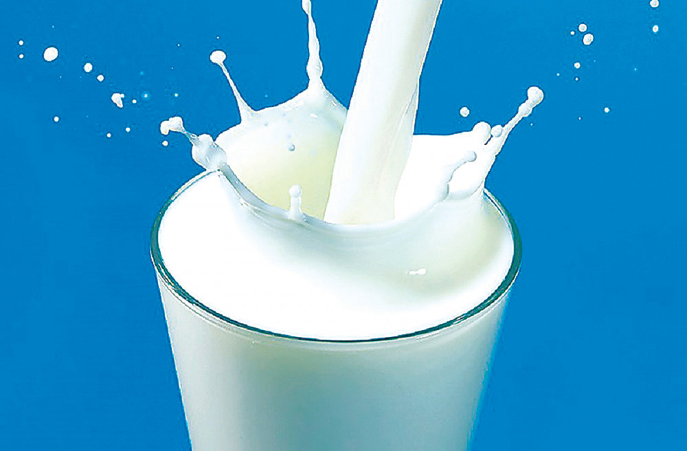 भक्तपुरमा एक डेरीलाई ३ लाख जरिवाना तिराइयो