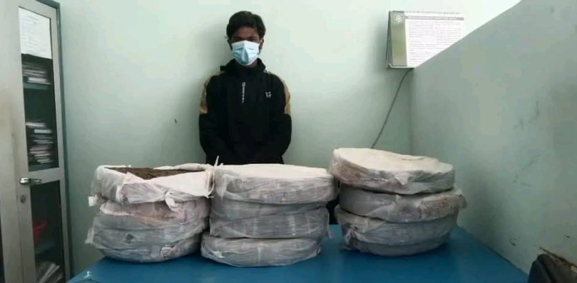 ४५ किलो गाँजासहित विराटनगरबाट एक जना पक्राउ