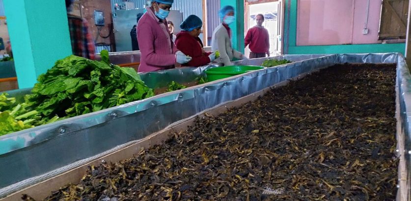 इलामको रोङमा गुन्द्रुकको ‘ब्रान्डिङ’, बिक्री गर्ने जिम्मा गाउँपालिकाको