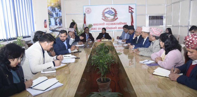 टेकु दोभान क्षेत्रका १३ सम्पदाको पुनर्निर्माण