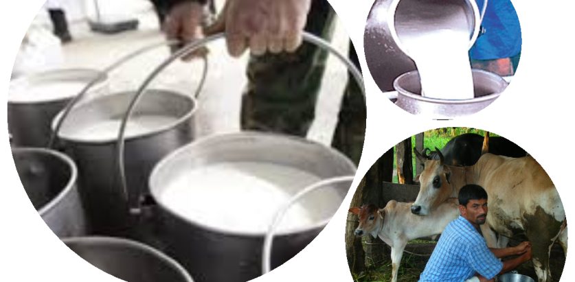 घिउ र धुलो दूध निर्यातमा कोशी प्रदेश सरकारले अनुदान दिने