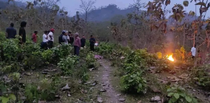 झापामा हात्तीको आक्रमणबाट एक महिलाको मृत्यु