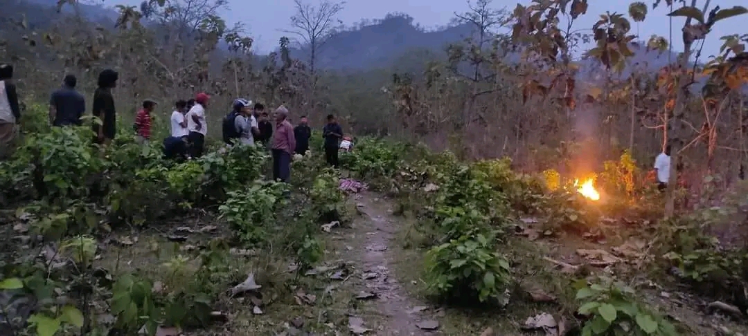 झापामा हात्तीको आक्रमणबाट एक महिलाको मृत्यु