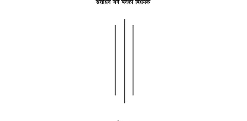 एकै व्यक्ति एकभन्दा बढी वित्तीय संस्थाको सञ्चालक हुन नपाउने