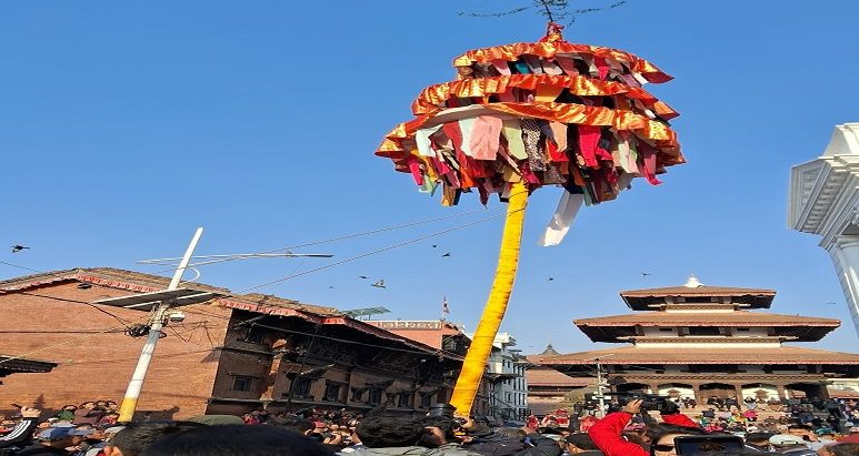 सुरु भयो होलीको रौनक , ठड्याइयो बसन्तपुरमा चिर