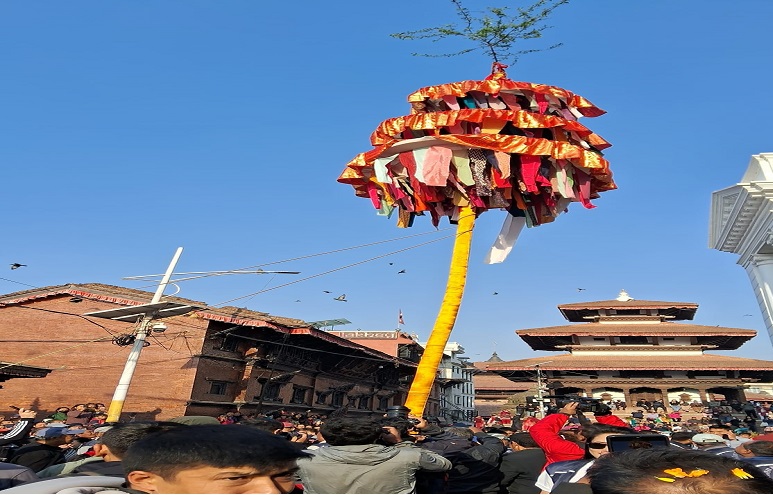 सुरु भयो होलीको रौनक , ठड्याइयो बसन्तपुरमा चिर