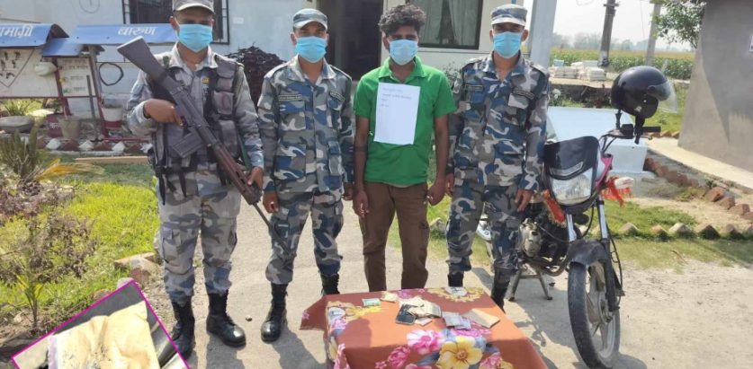 झापा गाउँपालिकाबाट भारतीय नागरिक ४८ ग्राम ब्राउन सुगरसहित पक्राउ