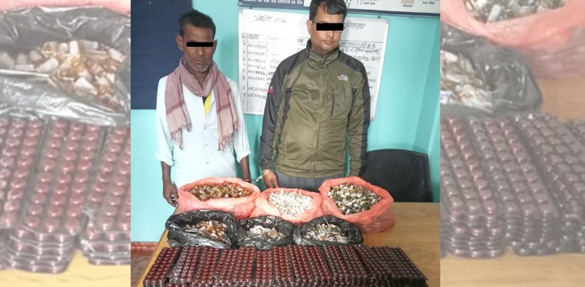 चामलभित्र लागुऔषध ओसारपसार गर्ने २ जना पक्राउ