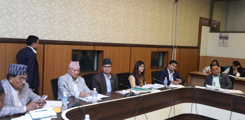 सहकारी छानबिन समितिले गृहमन्त्रीलाई दियो स्वदेश फर्काउनुपर्ने १८ जनाको नाम