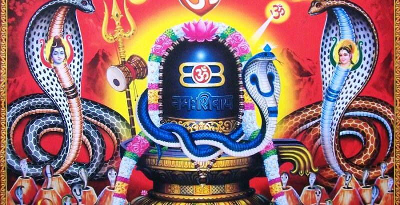 आज श्रावण शुक्ल पञ्चमी, नाग पूजा गरिँदै