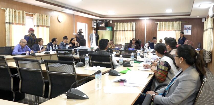 आज तीन संसदीय समितिको बैठक बस्दै