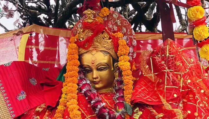 रोकीयो पाथीभरा क्षेत्रमा केबलकार बनाउने कार्य 